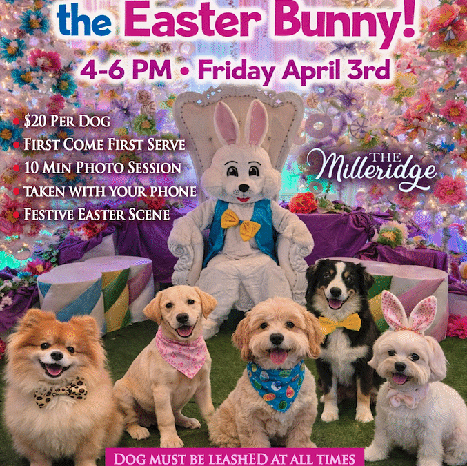 Puppy Photos with the Easter Bunny